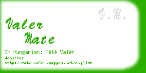 valer mate business card