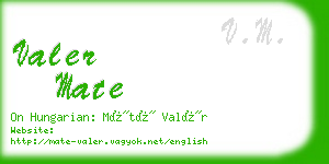 valer mate business card